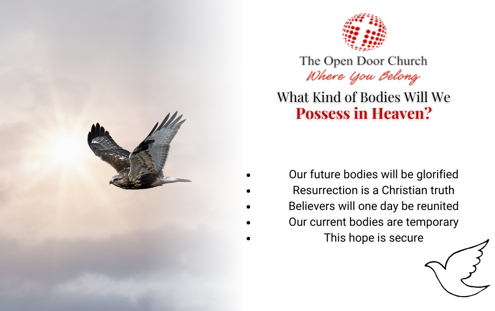 What Kind of Bodies Will We Possess in Heaven? Infographic